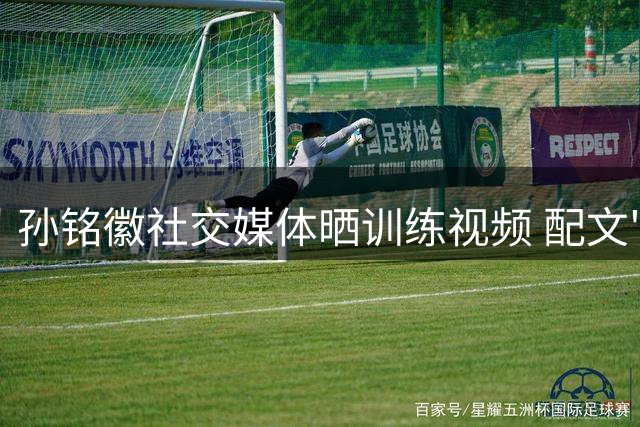 孙铭徽社交媒体晒训练视频 配文"年复一年"展现休赛期努力