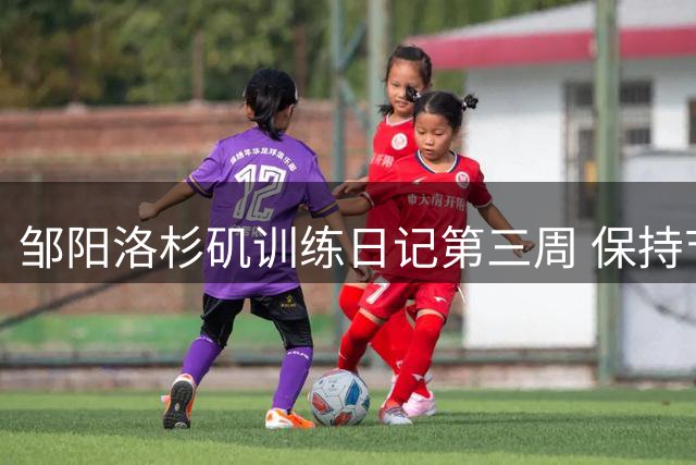 邹阳洛杉矶训练日记第三周 保持节奏 稳步向前